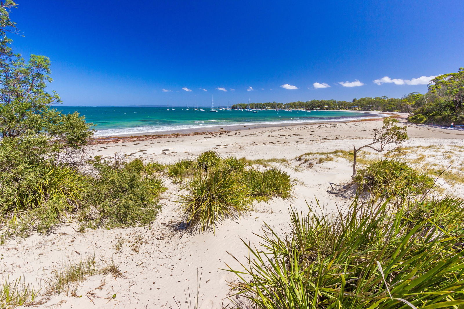 Callala Bay NSW Maitland Accommodation