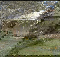 Castlemaine Diggings National Heritage Park - Maitland Accommodation