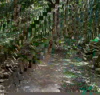 Cascades Walk - Maitland Accommodation