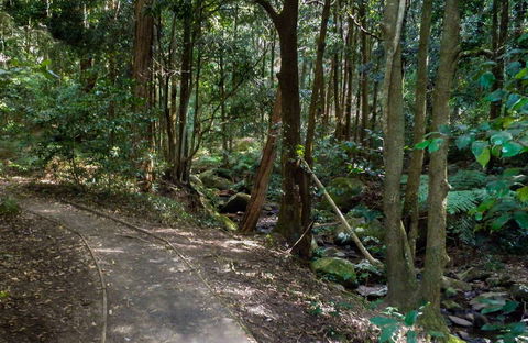 Cascades Walk - Maitland Accommodation 0