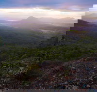 Cunninghams Gap and Spicers Gap Main Range National Park - Maitland Accommodation