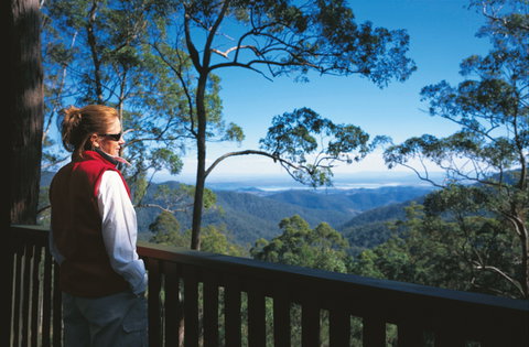 D'Aguilar National Park - Maitland Accommodation 0