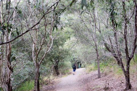 D'Aguilar National Park - Maitland Accommodation 2