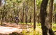 Davies Creek Mountain Bike Park - thumb 1