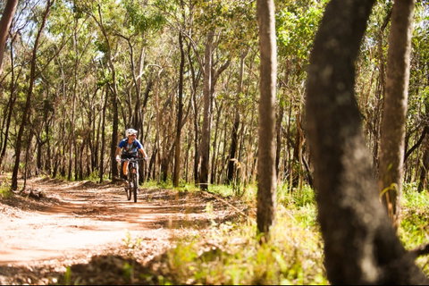 Davies Creek Mountain Bike Park - Maitland Accommodation 1
