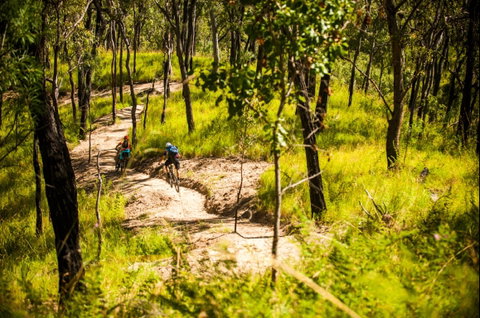 Davies Creek Mountain Bike Park - Maitland Accommodation 2