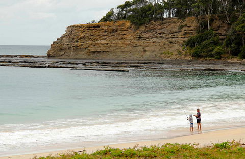 Depot Beach Picnic Area - Maitland Accommodation 0