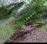 Double Wharf Trail - Maitland Accommodation