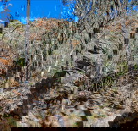 Eualdrie Walking Track - Maitland Accommodation