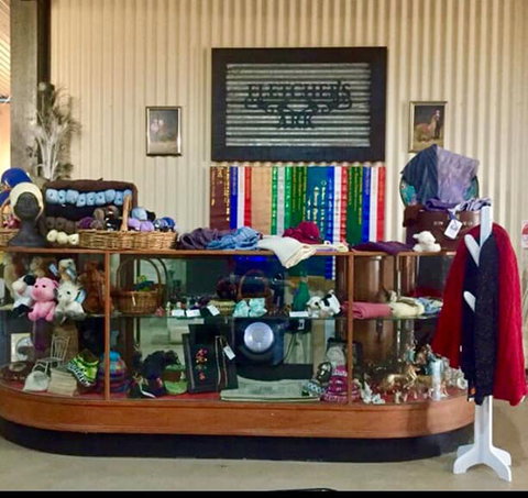 Fletchers Ark Farmyard And Fletchers Ark Alpacas - Maitland Accommodation 2