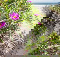 Fort Bribie - Maitland Accommodation