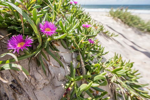 Fort Bribie - Maitland Accommodation 0