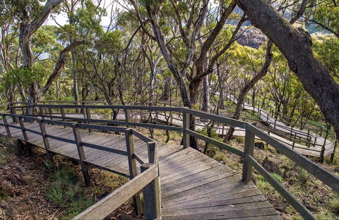 Governor Summit (Corrunbral Borawah) Walking Track - Maitland Accommodation 0