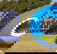 Hidden Rookwood Sculptures - Maitland Accommodation