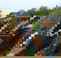 Horse Riding Lessons and Trail Rides - Maitland Accommodation