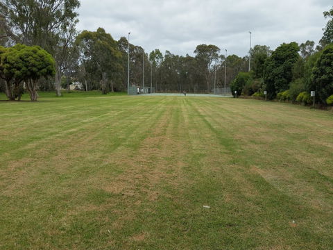 Island Park Recreation Reserve - Maitland Accommodation 0