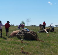 Jim Salmon  Wetland Education Site - Maitland Accommodation