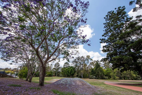 John Scott Park - Maitland Accommodation 0