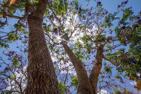 John Scott Park - Maitland Accommodation 1