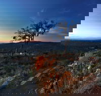Kalamunda National Park - Maitland Accommodation