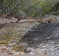 Lake Rowallan - Maitland Accommodation