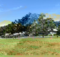 Leacock Picnic Area - Maitland Accommodation