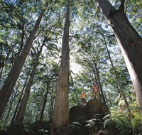 Leeuwin-Naturaliste National Park - Leeuwin - Maitland Accommodation
