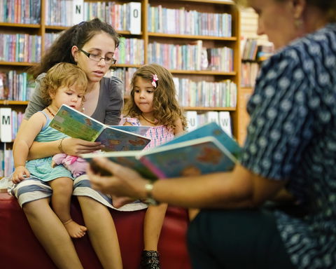 Maitland City Library - Maitland Accommodation 2