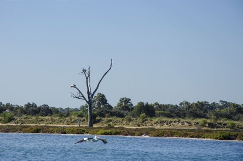 Mandurah Estuary And Peel Inlet - Maitland Accommodation 1