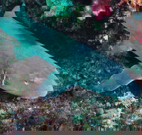 Middle Reef Dive Site - Maitland Accommodation