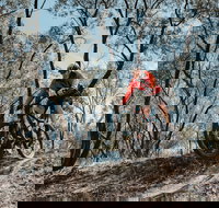 Mountain Bike Trails Deniliquin - Maitland Accommodation