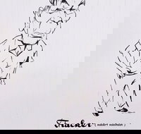 Nickname Hall of Fame - Maitland Accommodation