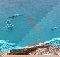 Nullarbor National Park - Maitland Accommodation