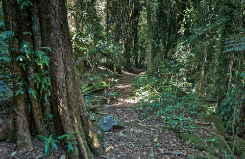 Pholis Gap Walking Track - Maitland Accommodation 0