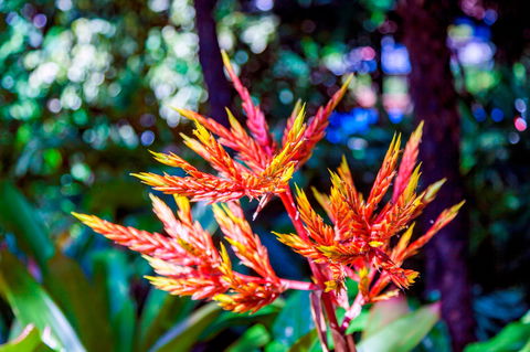 Queens Gardens - Maitland Accommodation 2