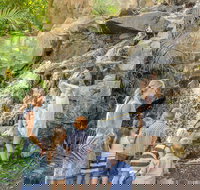 Queens Park Waterfall - Maitland Accommodation