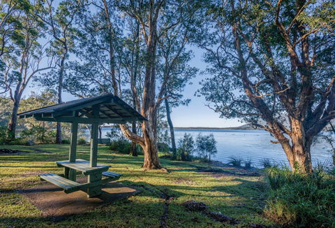 Queens Lake Picnic Area - Maitland Accommodation 0