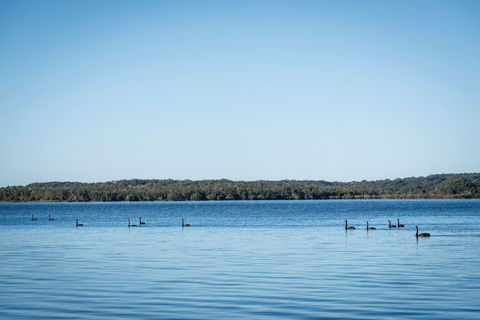 Queens Lake Picnic Area - Maitland Accommodation 1