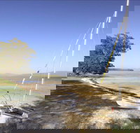 Sailing Club picnic area - Maitland Accommodation