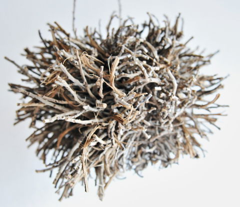 Serpentine Gallery - Maitland Accommodation 0