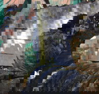 Skirmish Sunshine Coast Outdoor Paintball - Maitland Accommodation