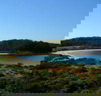 Snorkelling Broulee Island - Maitland Accommodation