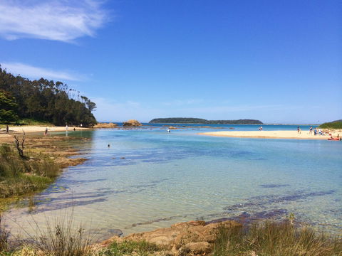 Snorkelling Candlagan Creek - Maitland Accommodation 0