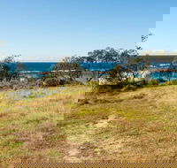 Stokes Island picnic area - Maitland Accommodation
