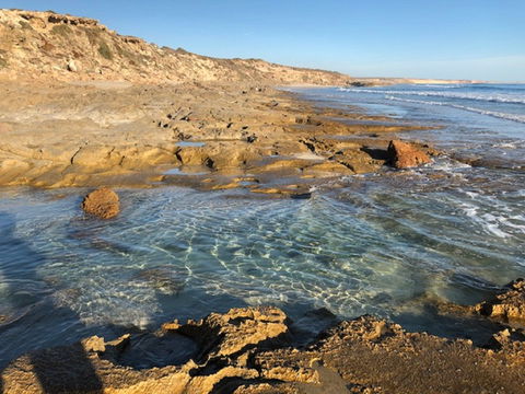 Streaky Bay - Back Beach - Maitland Accommodation 0