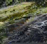 Terramungamine Rock Grooves - Maitland Accommodation