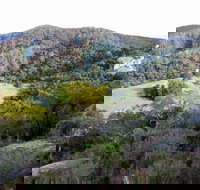 The Bellbird - Maitland Accommodation