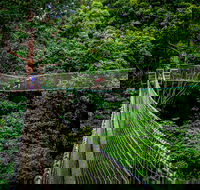 Thunderbird Park  - Tamborine Mountain Gold Coast Region - Maitland Accommodation