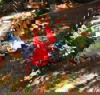 Trees Adventure - Glen Harrow Park - Maitland Accommodation