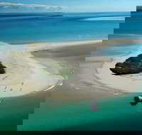 Turtle Discovery - Maitland Accommodation